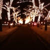 Commonwealth Avenue Mall gallery