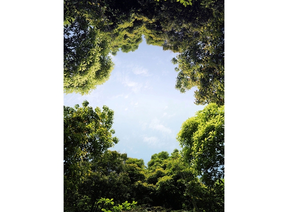 Stephenson Environmental Management Australia