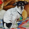 Petsense by Tractor Supply gallery