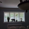 Budget Blinds of Great Neck & Roslyn gallery