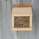 WasatchMasonBees