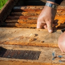 Lee Pest Control - Pest Control Equipment & Supplies