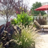 Aardweg Landscaping gallery