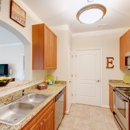 Belmont at Providence Apartments - Apartment Finder & Rental Service