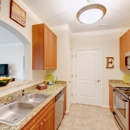 Belmont at Providence Apartments - Apartments
