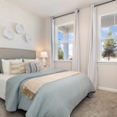 Meadow Walk by D.R. Horton - Home Builders