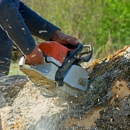 Blue Mountain Tree Company - Tree Service