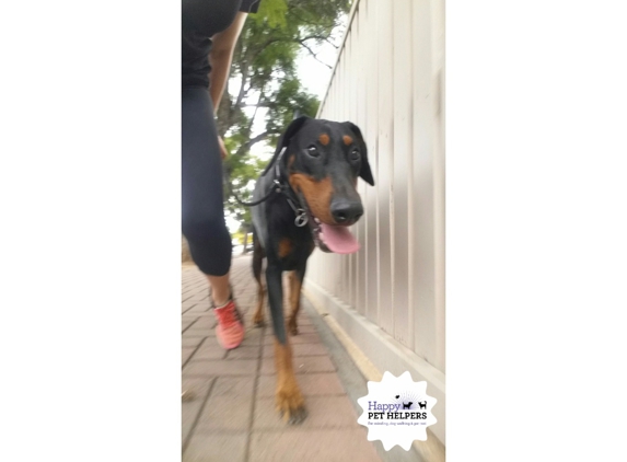 Happy Pet Helpers - Hillcrest, SA