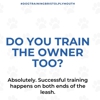 Boston to Dog Training Elite Bristol - Plymouth gallery