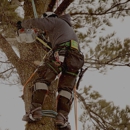 Houston Arbor Care Tree Service - Arborists