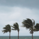 Florida Inspections Unlimited - Real Estate Inspection Service