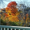 St Johns Episcopal Church-Sutton gallery