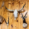 Independence Ranch gallery