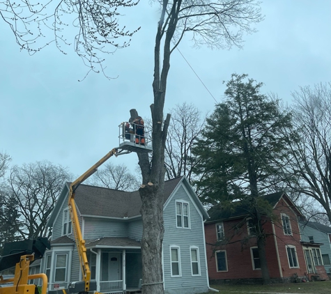 Progressive Tree Service - Greenville, MI