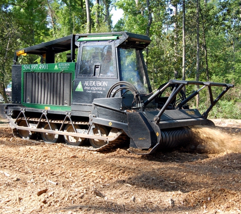 Audubon Land Clearing - Covington, LA