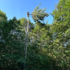 Sky High Tree Service