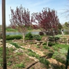 Overland Park Arboretum and Botanical Gardens gallery