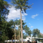 Aspen Tree Service LLC