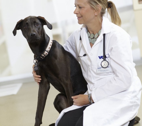 VCA Veterinary Referral and Emergency Center - Norwalk, CT