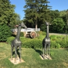 New Mill Restaurant gallery