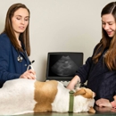 Crossroads Animal Hospital - Veterinarians