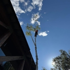 H Bros. Tree Service