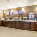 Comfort Inn & Suites Near Mt. Rushmore - Motels
