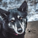 Oak Grove Animal Clinic,MISSOURI - Veterinarians