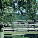 Dovington Equestrian Center - Boarding Houses