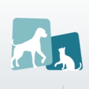 South Lake Animal Hospital Clermont - Veterinarians