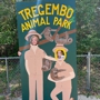 Tregembo Animal Park