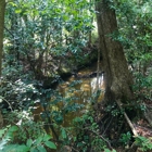 Azalea Park & Sculpture Garden