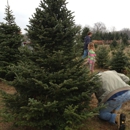 Peacock Road Family Farm - Christmas Trees