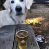 Brickyard Hollow Brewing Company gallery