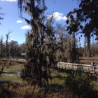 Phinizy Swamp Nature Park