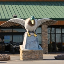 Mack's Prairie Wings - Sporting Goods