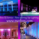 2 Wolves DJ Service - Disc Jockeys