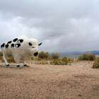 Antelope Island State Park