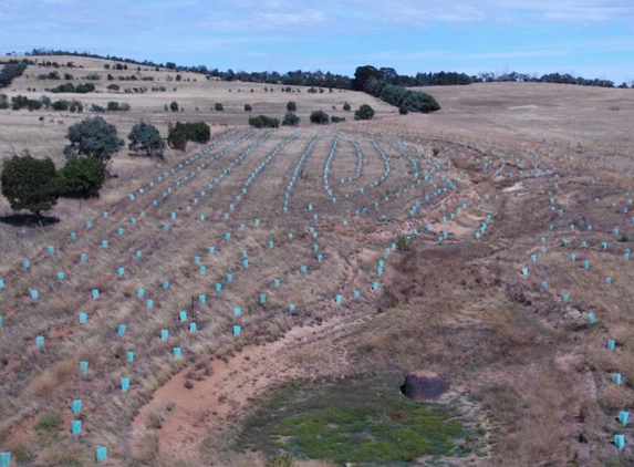 Jindabyne Landscaping Pty Ltd - East Jindabyne, NSW
