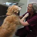 Northwood Animal Hospital - Pet Boarding & Kennels