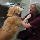 Northwood Animal Hospital