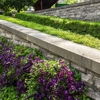 Montoy's Landscaping gallery