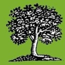 Demar Tree & Landscaping Services Inc - Tree Service