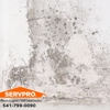 SERVPRO of North Eugene / NW Lane County gallery
