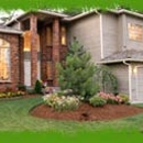 Out on A Limb Tree Care Inc - Tree Service