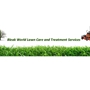 Bleak World Lawn Care and Treatment Services