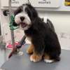Woofie's of Columbia gallery