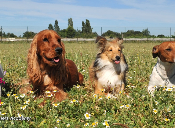 Dog Groomer Academy - Orlando, FL