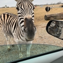 Tennessee Safari Park - Playgrounds