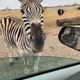 Tennessee Safari Park